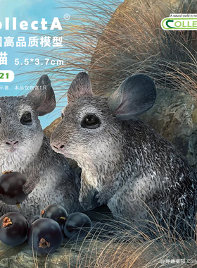 【88722长尾毛丝鼠/ 龙猫】CollectA官方授权正版动物模型