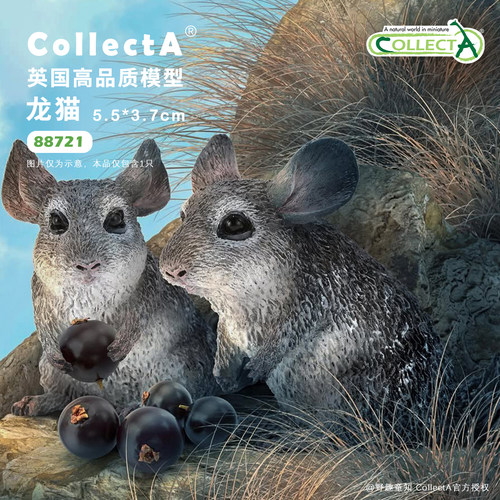 CollectA龙猫仿真动物模型玩具