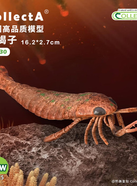 【80030海蝎子】CollectA官方授权正版动物模型早教玩具