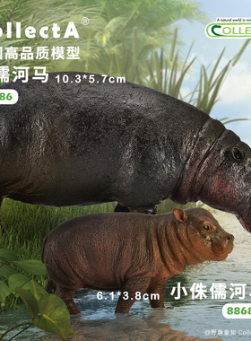 【88686侏儒河马】CollectA官方授权正版动物模型早教玩具