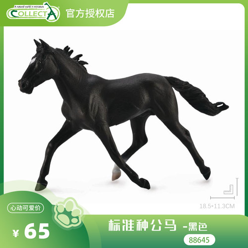 【88645标准种公马 -黑色】CollectA官方授权正版动物模型