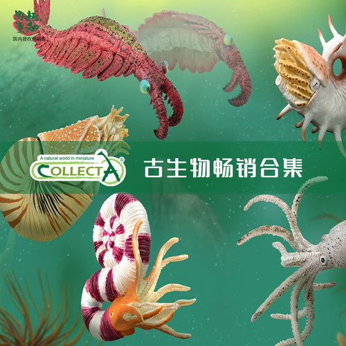 古生物玩具模型CollectA塑胶