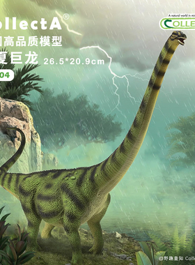 【88704大夏巨龙】2025CollectA仿真动物模型玩具恐龙世界