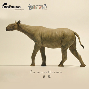 【顺丰包邮】【eofauna巨犀】古兽模型玩具手办玩具西班牙象厂