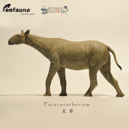 【顺丰包邮】【eofauna巨犀】古兽模型玩具手办玩具西班牙象厂