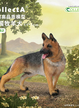 【德国牧羊狗】CollectA官方授权正版动物模型早教玩具