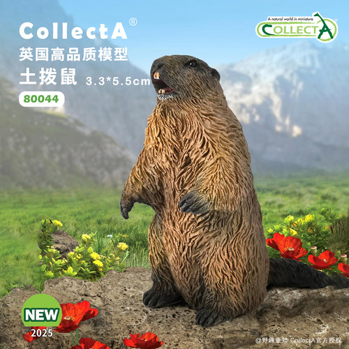 英国CollectA土拨鼠动物模型
