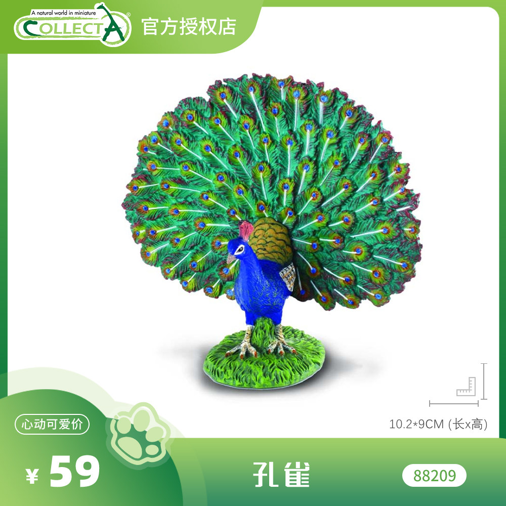 【88209孔雀】CollectA官方授权正版动物模型早教玩具