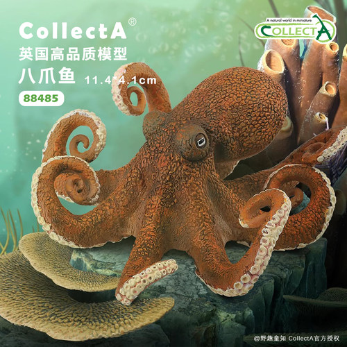 CollectA八爪鱼动物模型玩具