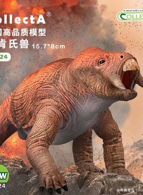 【80024扁肯氏兽】CollectA仿真动物模型玩具古兽公仔科普收藏