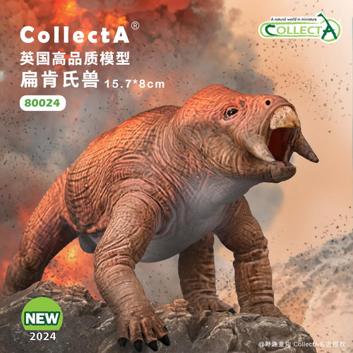 CollectA扁肯氏兽动物模型玩具