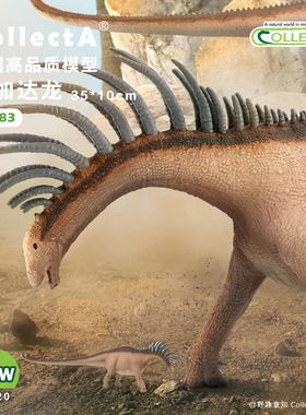 【88883巴加达龙1:40】CollectA动物模型儿童认知仿真玩具早教