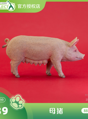 顺丰包邮【母猪、公猪】CollectA官方授权正版动物模型早教玩具
