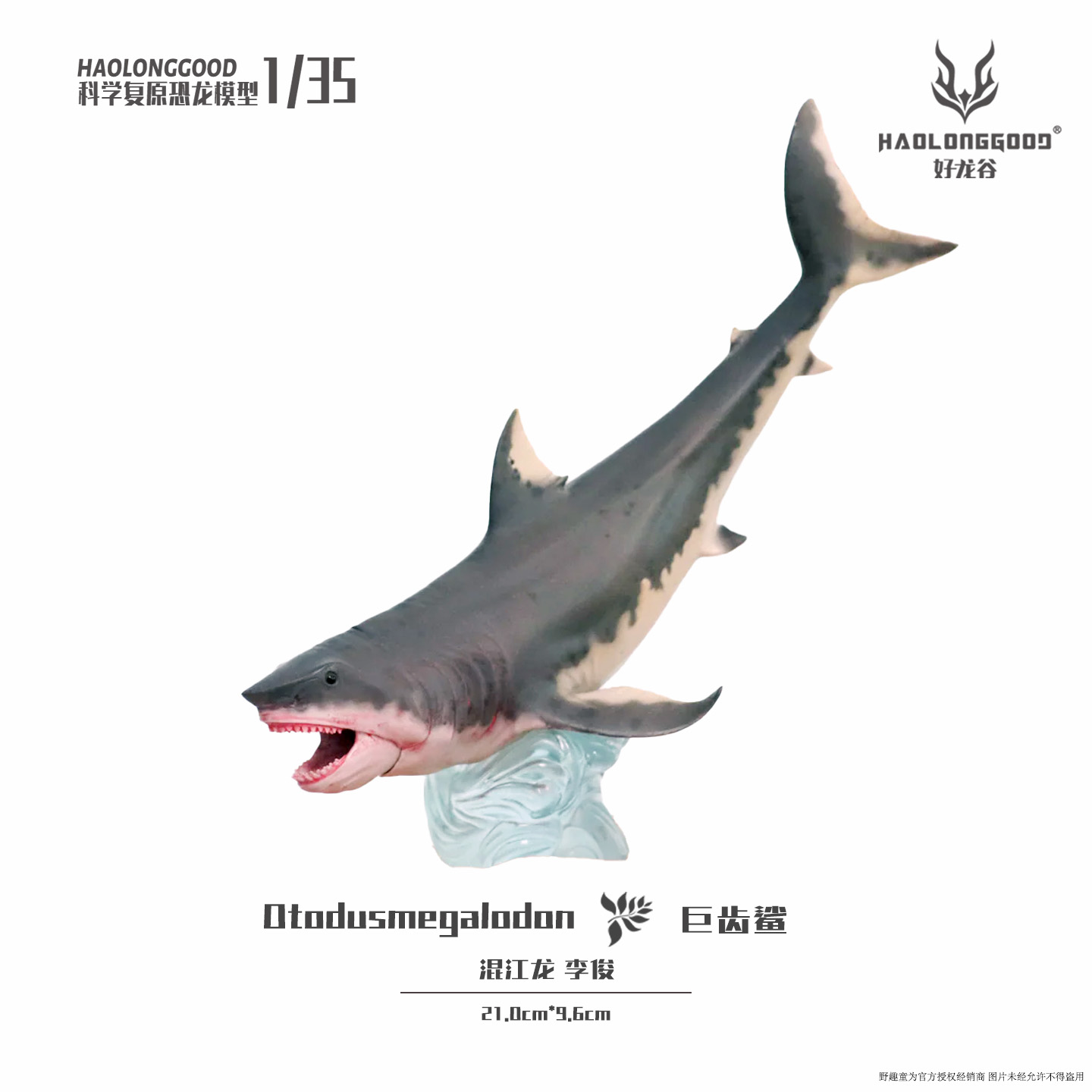 【顺丰包邮】好龙谷【巨齿鲨1:35】侏罗纪恐龙模型礼物玩具手办