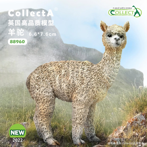 CollectA羊驼动物模型玩具