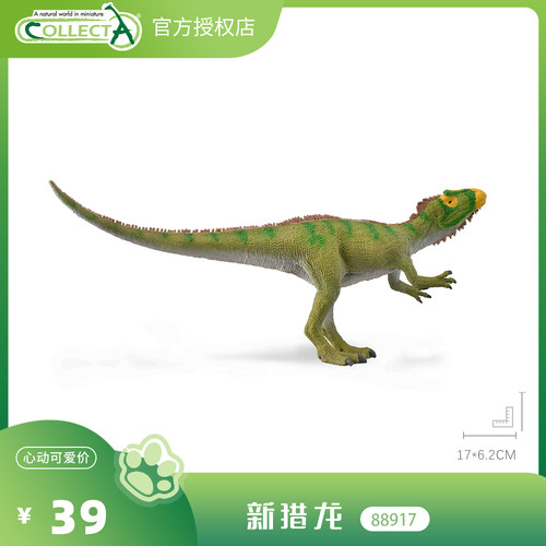 【88917新猎龙】CollectA动物模型儿童认知仿真玩具早教礼物