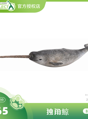 【88615独角鲸】CollectA官方授权正版动物模型早教玩具