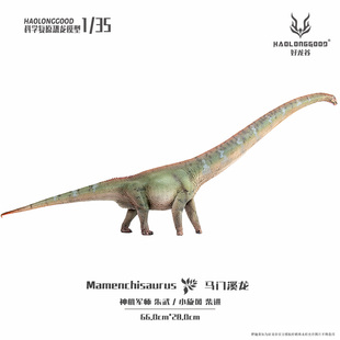 【顺丰包邮】好龙谷【1:35马门溪龙】侏罗纪恐龙模型礼物玩具手办