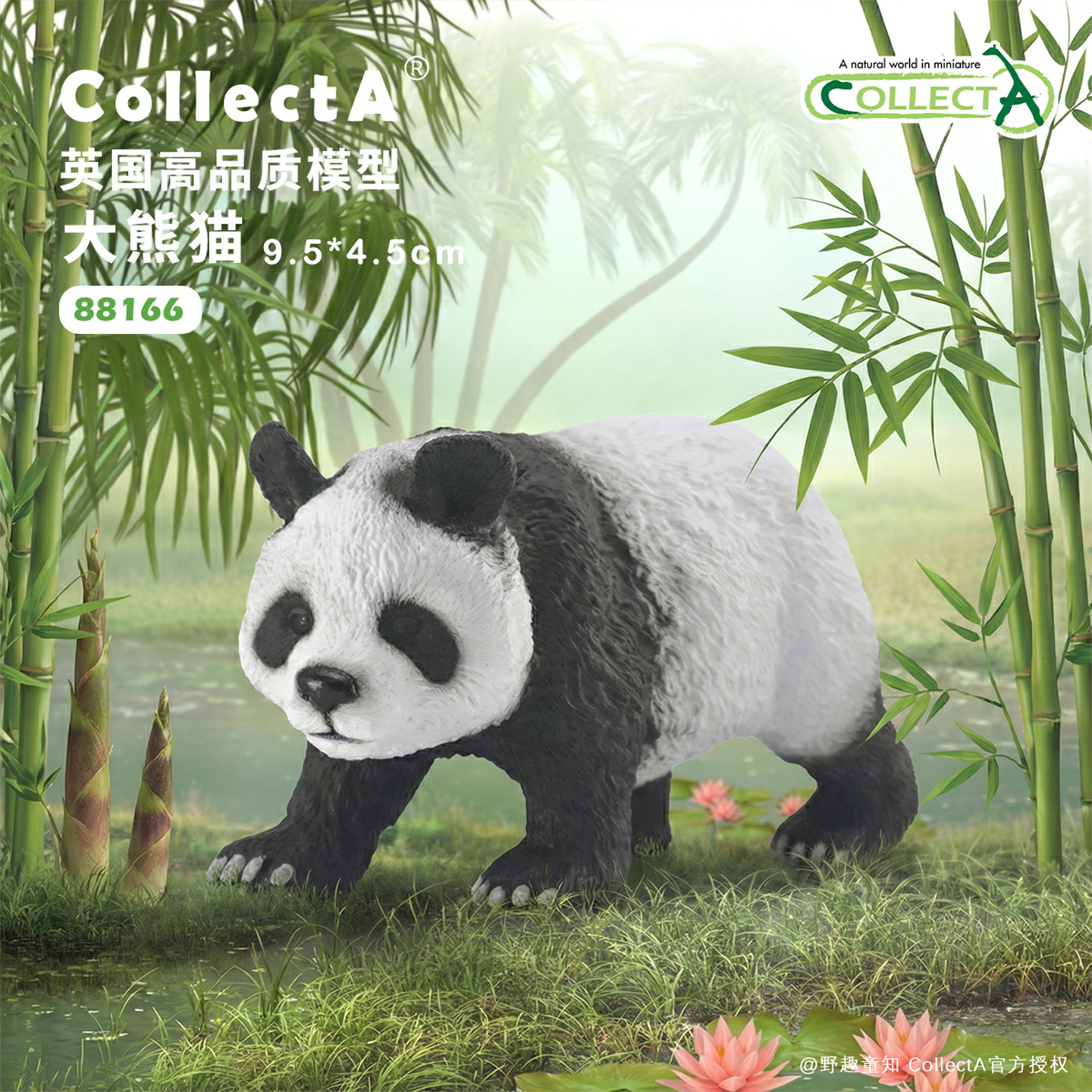 顺丰包邮【大熊猫】CollectA官方授权正版动物模型早教玩具