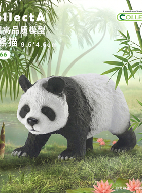 顺丰包邮【大熊猫】CollectA官方授权正版动物模型早教玩具