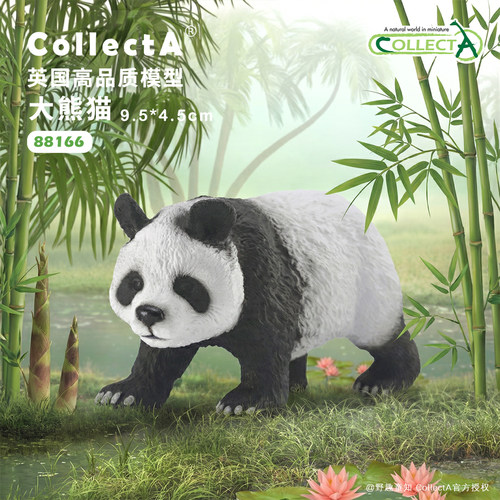 顺丰包邮【大熊猫】CollectA官方授权正版动物模型早教玩具