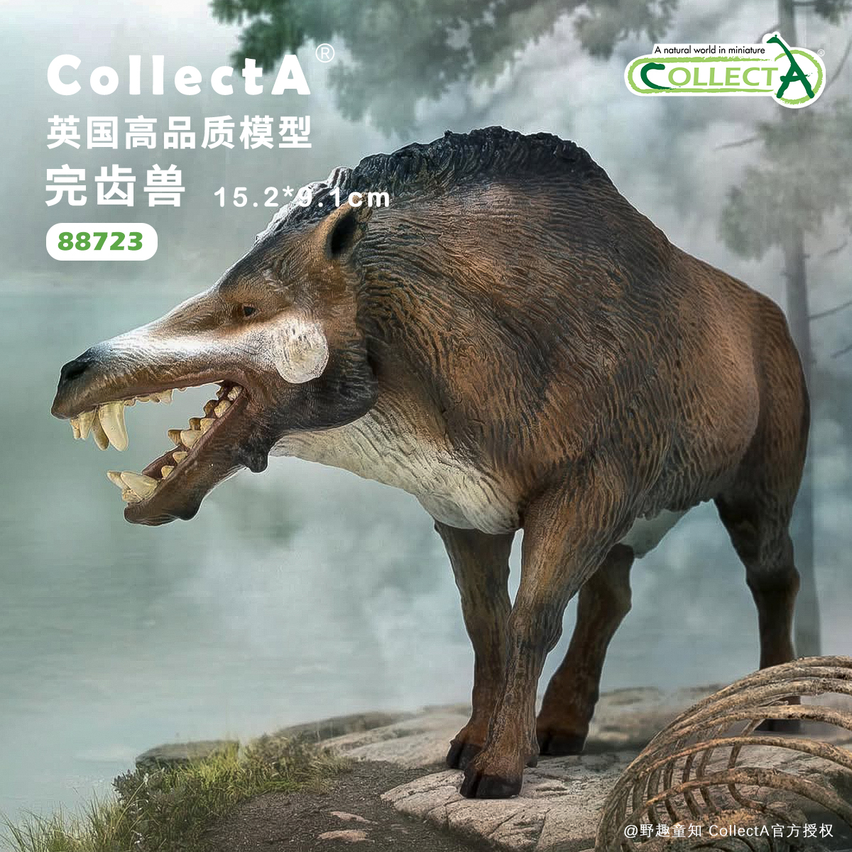 CollectA完齿兽仿真动物模型玩具