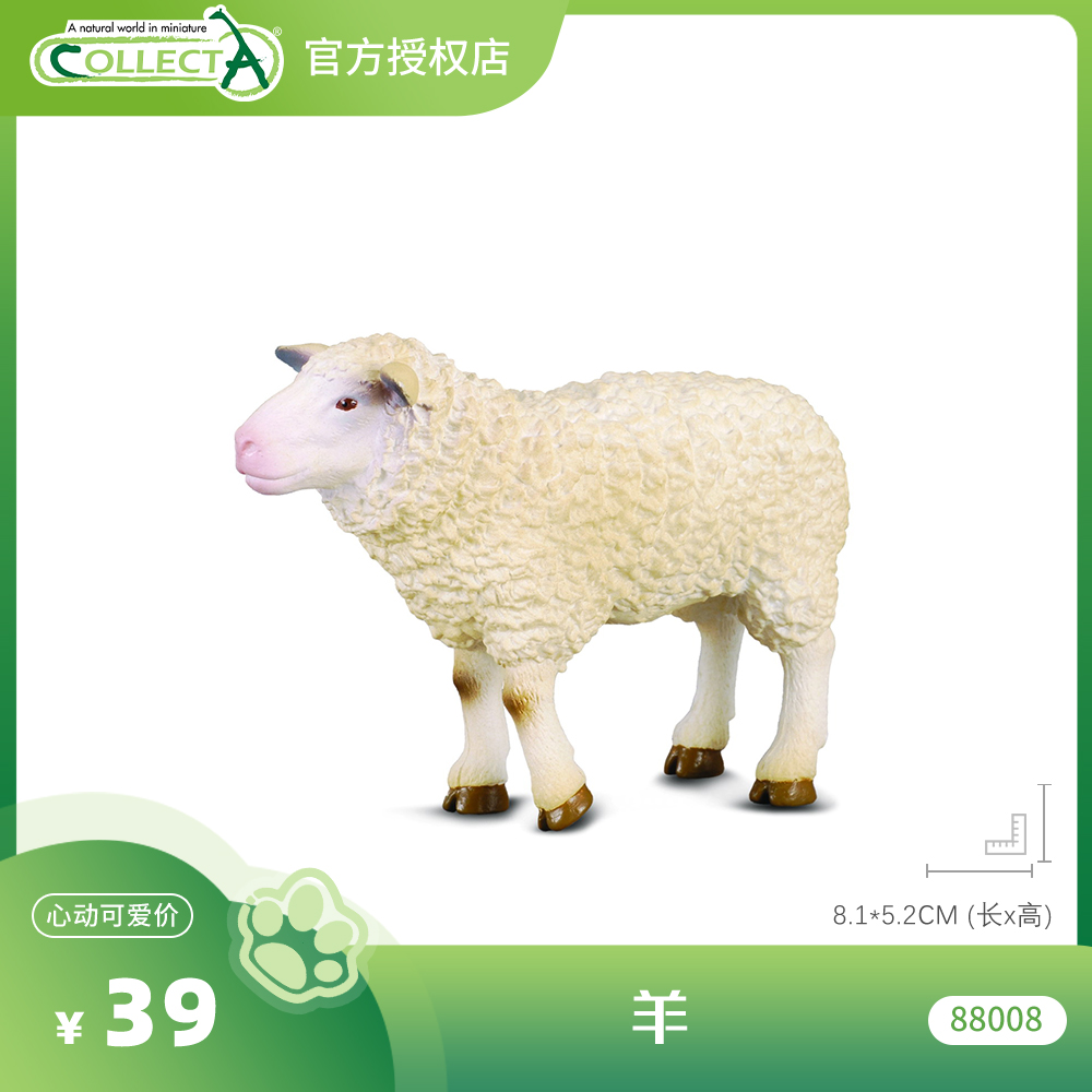 【羊/小羊】CollectA官方授权正版动物模型早教玩具