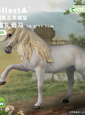 【80035利皮扎母马】2025CollectA仿真动物模型玩具马玩具公仔