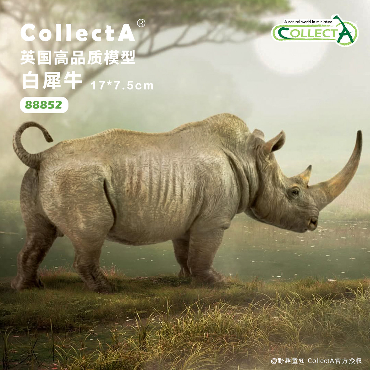 CollectA犀牛动物模型玩具图片