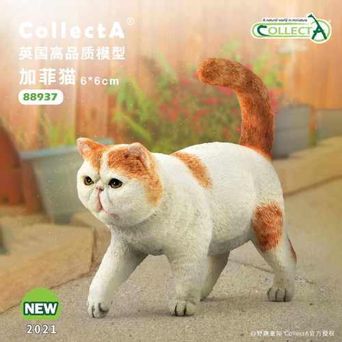 CollectA异国短毛猫/加菲猫玩具