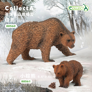 顺丰包邮【88560棕熊】CollectA官方授权正版动物模型早教玩具