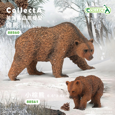 CollectA棕熊动物模型玩具
