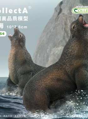 【88454海狮】CollectA官方授权正版动物模型早教玩具