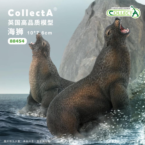 CollectA海狮动物模型玩具