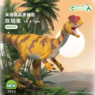 【88923双冠龙1:40 】CollectA动物模型儿童认知仿真玩具早教礼物