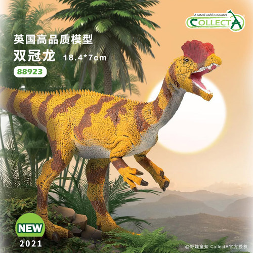 CollectA双冠龙动物模型玩具