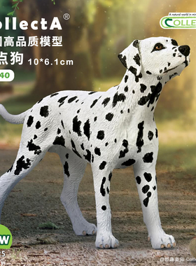 【80040斑点狗】CollectA仿真动物模型玩具2025狗狗玩具