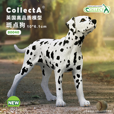 collecta斑点狗高仿真斑点狗模型