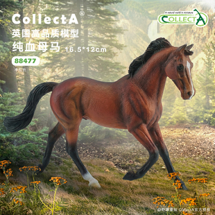 【88477纯血母马 】CollectA官方授权正版动物模型早教玩具