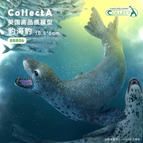 CollectA豹海豹动物模型玩具