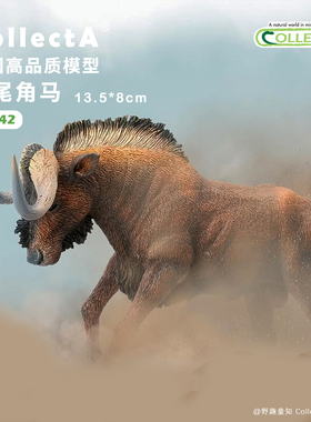 【88542白尾角马】CollectA官方授权正版动物模型早教玩具