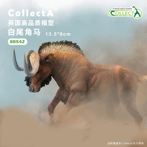 CollectA白尾角马动物模型玩具