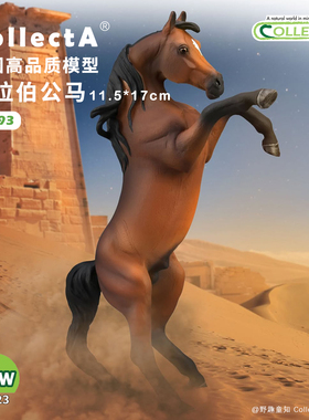 【88993阿拉伯公马】英国CollectA我你他仿真动物模型玩具马玩具