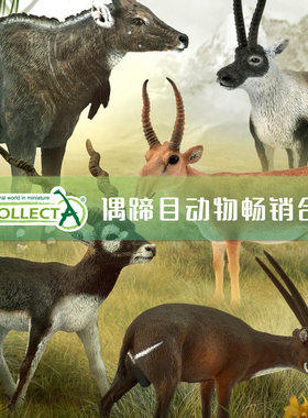 牛鹿羊羚高仿真动物模型CollectA