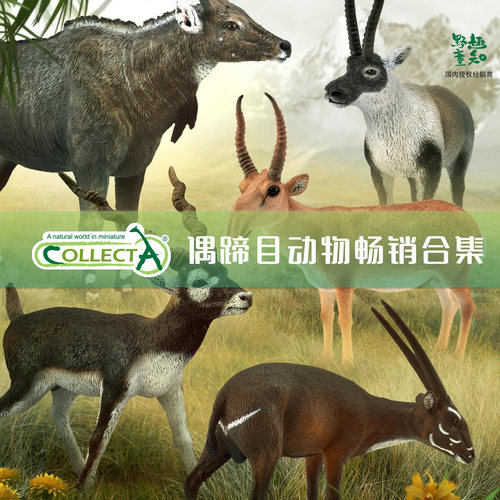 牛鹿羊羚高仿真动物模型CollectA