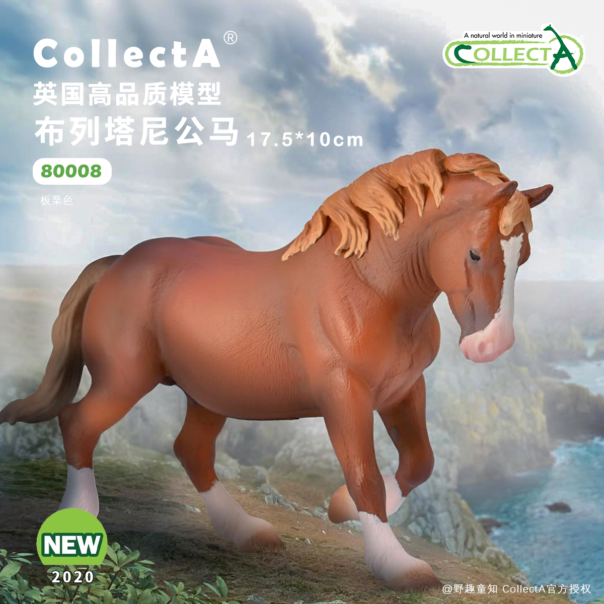 【80008布列塔尼公马】英国CollectA我你他仿真动物模型玩具
