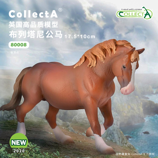 【80008布列塔尼公马】英国CollectA我你他仿真动物模型玩具
