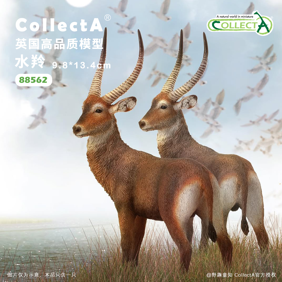 CollectA水羚动物模型玩具