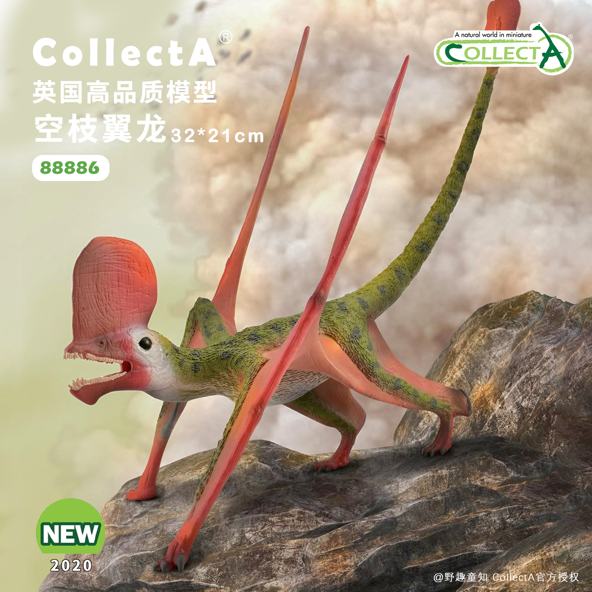 CollectA空枝翼龙模型玩具