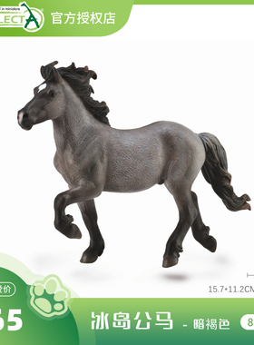 【88826冰岛公马暗褐色】CollectA官方授权正版动物模型早教玩具